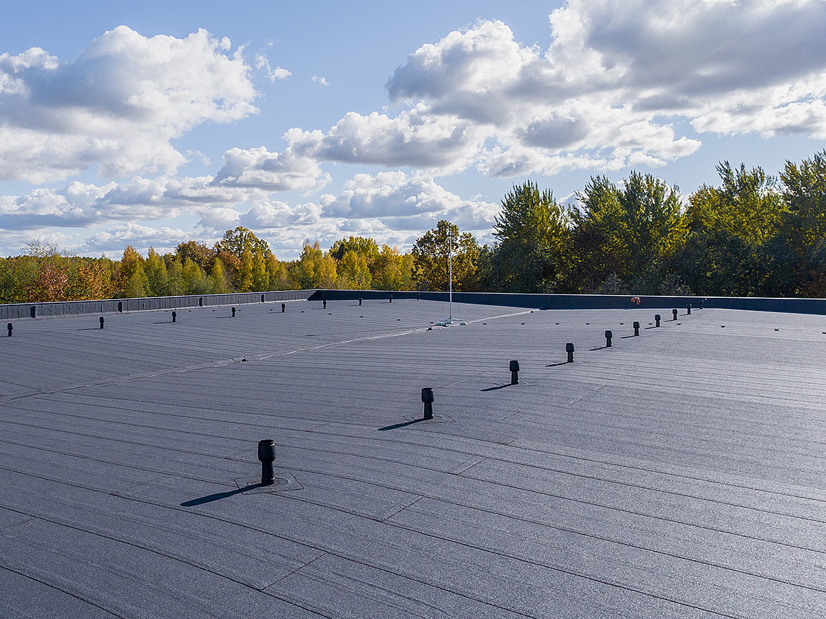 Bituminė stogo danga