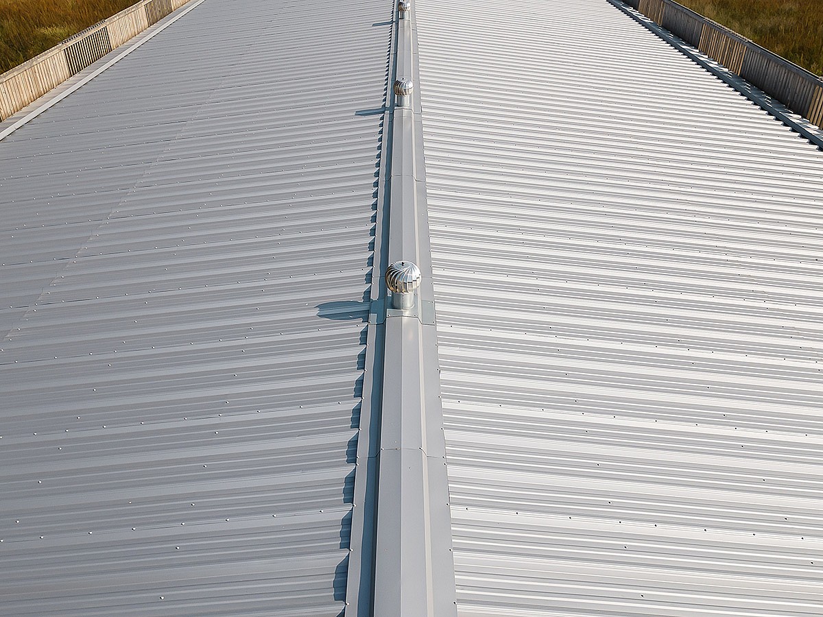 Skardinė stogo danga | Borga