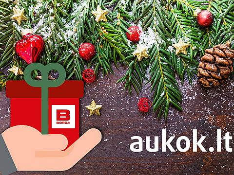aukok.lt | parama | Borga