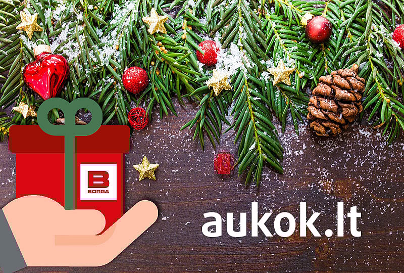 aukok.lt | parama | Borga